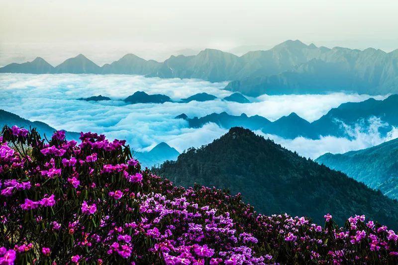 彼得比尔特379拼图
